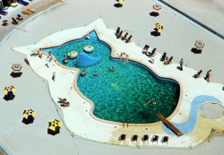  A swimming pool in the shape of a cat at the Fontainebleau Hotel, Miami, c. 1955. Photographed by Slim Aarons  