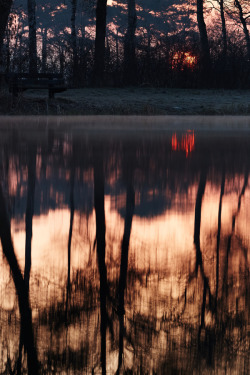 ponderation:  The sun crawls over the horizon by Jan Kooreman 