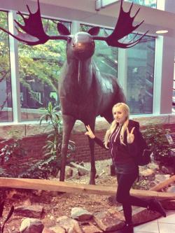 Arrived in NH and was greeted by my favorite animal. Come check me out tonight and tomorrow in Bedford at Gold Club 