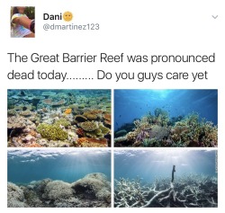 note-a-bear:  earlgraytay:  overlyygayy:  So the Great Barrier Reef was pronounced dead today.  Do you even realize that is this our home. We were blessed with such a beautiful, loving, and magnificent home and look what we have done to it. Mother Nature