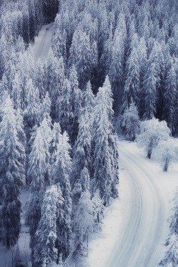 0rient-express:Winter Road | by Teemu Kalliolahti.
