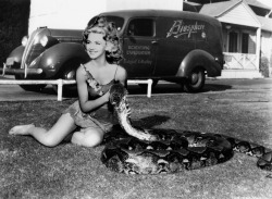 ronaldcmerchant:  Carole Landis in her ONE MILLION BC (1940) costume,and a big snake click to enlarge   