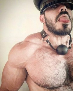 bigbodybuilderboys:  Gag the big muscle boy long enough and he will start begging for a treat once the gag is taken off