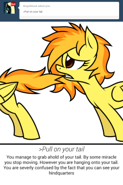 i-am-windows-pone:  ask-spitfire-thewonderbolt:  &gt;Pull on your tail You manage to grab ahold of your tail. By some miracle you stop moving. However you are hanging onto your tail. You are severly confused by the fact that you can see your hindquarters