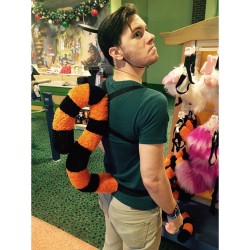 t-rexan:  The wonderful thing about Tiggers Is Tiggers are wonderful things! 