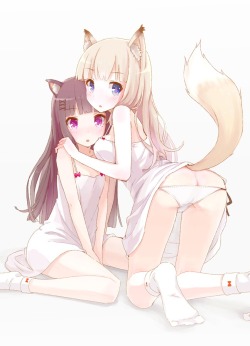 daryumasta:This is what us, the anime lovers, live for. Cute Fox and Cat Girls.*nosebleeds and faints*