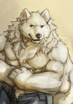 ralphthefeline:  Someone asked me to try drawing a Samoyed dog, so that is what I did~!  