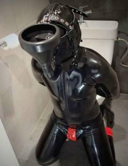subhumanfag:  The faggot feels particularly humiliated when it is used as a toilet while kneeling in front of an actual toilet. The faggot’s master isn’t using it for convenience, it is just to degrade his toy.