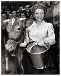   MILKING CONTEST IN MEMPHIS! Vintage press photo dated from 1952, features fan dancer Sally Rand posing with her milking contest partner.. Her opponent was Martin Zook, the manager of Memphis&rsquo; long-running &lsquo;MID-SOUTH FAIR&rsquo;.. No word