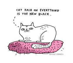 gemmacorrell:  win a signed copy of my book “A Cat’s Life” - on my (old school, non Tumblr) blog