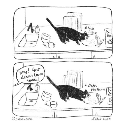 catsbeaversandducks:I have zero authority.Comic/caption by Susie Esse