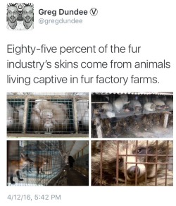 iswearimnotnaked:  it’s 2016. there is no fucking reason for your ass to be buying/wearing fur especially for a pointless fashion statement.   faux fur takes 20x less energy, is cheaper, safer, and most importantly, doesn’t cost an animals life.
