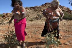 Aboriginal Australians, by Amy Toensing.