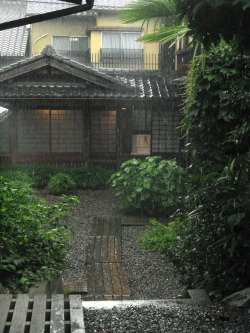 riri-neko:  rain by   non-euclidean photography on Flickr. 