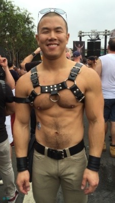 Nipples and harness