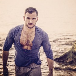 hot4hairy:  Almog Gabay  H O T 4 H A I R Y  Tumblr |  Tumblr Ask |  Twitter Email | Archive | Follow HAIR HAIR EVERYWHERE! 