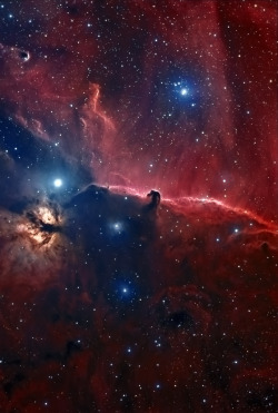 senerii:  The Horsehead Nebula in Orion by Astroshed The easy to identify Horsehead and nearby Flame (or Christmas Tree) nebulae ae invisible wonders in what many Australians refer-to as the Saucepan, the base of which, is really Orion's Belt. Everything