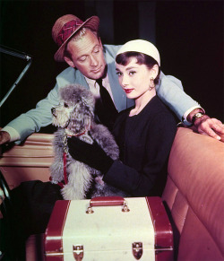 theniftyfifties:  William Holden and Audrey Hepburn in ‘Sabrina’, 1954. 