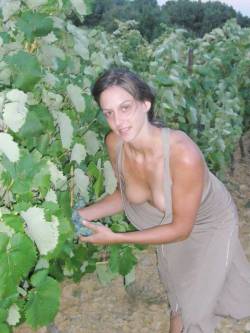 questionsandacts:  Let your tits be viable to others while looking at grapes in a vinyard  