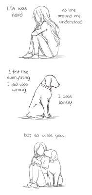 natural&ndash;blues:  viftion:  jen-jen-rose:  In honor of my dog who passed away.we experienced a lot of the same things together, so I wrote this to be read in either her, or my perspective.  I’m actually crying really really hard   I’m sobbing
