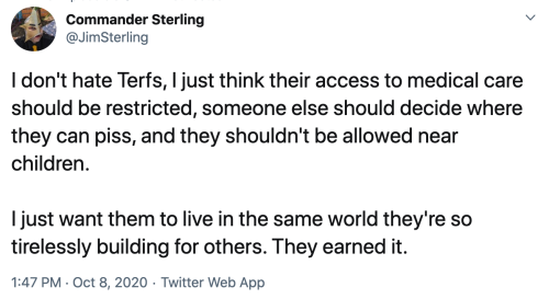 crossdreamers: Jim Sterling on twitter: I don’t hate Terfs [trans-exclusionary radical feminists], I just think their access to medical care should be restricted, someone else should decide where they can piss, and they shouldn’t be allowed near children.