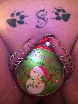pussymodsgaloreA seasonal pussy decoration for December. Happy Christmas everyone!She has 22 or more outer labia piercings with rings.