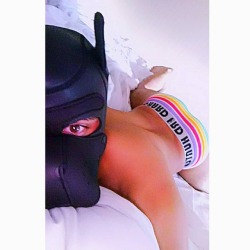 lilbeauxpup:  Getting up was an ordeal this morning (afternoon…lol)  #pup #pupplay #humanpup #puphood #MrSLeather #neoprene #bed #tired #tuckeredout #booty🍑 #rainbow #pride #briefs #undies (at The Manhattan at Times Square Hotel)
