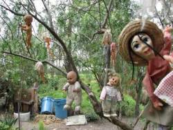 unexplained-events:  Don Julian was a hermit who lived in a shack located on the island. He claimed that the ghost of a young girl who drowned in the canal haunted him. To appease her angry spirit, Julian began collecting baby dolls and hanging them from