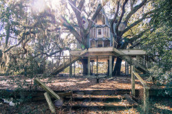 650497:  bloodyqueefs:  destroyed-and-abandoned:  Big Ass Treehouse in Brooksville, Florida Source: FLHistory (reddit)  This is only an hour away from me. 17346 Powell Rd, Brooksville, FL 34604. I want to bring candles and spend the night.  We’re headed
