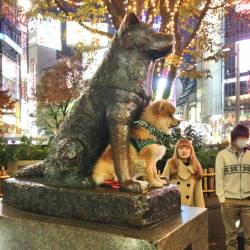 awwww-cute:  Dreaming big at Hachiko statue, Tokyo 