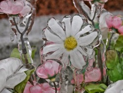 ethareal:  frozen flowers 