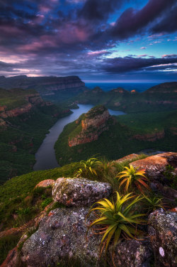 travelgurus:       Outstanding View Over Blyde River Canyon at Mpumulanga, South Africa                  Travel Gurus - Follow for more Nature Photographies!    