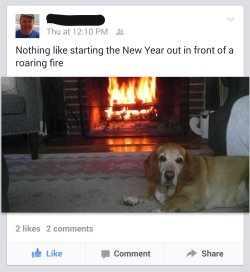 gaysleepy:  i’m laughing sooo hard @ my dad’s denial of how fat our dog is lmao 