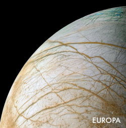 ohstarstuff:  Searching for Life in Our Solar System EUROPAScientists expect that Europa may have more liquid water than in all of Earth’s oceans. It has all the elements thought to be key for the origin of life: water, energy, and organic chemicals,