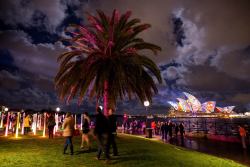 Embellishing an icon (the Sydney Opera House is transformed during the Vivid Sydney Festival of Light)