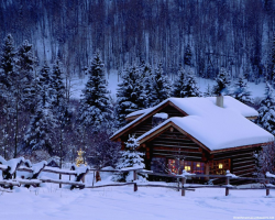 forever-winter-wonderland:☃️