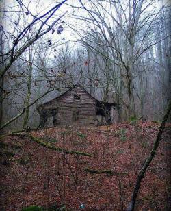 sixpenceee:  Abandoned cabin in the woods of Virginia.