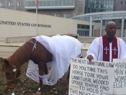 lgbtlaughs:   A Baptist pastor staged a mock one-man, one-horse wedding outside a federal courthouse in Jackson, Mississippi   I&rsquo;m sorry, bro, but that horse really doesn&rsquo;t seem interested in marrying you.