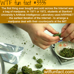 wtf-fun-factss:  The first item sold on the internet -  WTF fun facts