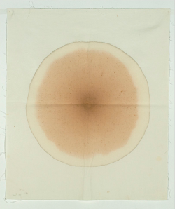 garadinervi:Antonio Scaccabarozzi, Delimitazione cm cubi 12, (injection into the fabric of the canvas), 1980 [Archivio Antonio Scaccabarozzi]