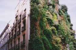 eoreu:  Patrick Leblanc’s vertical gardens are so lovely I could cry 