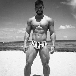 sexybeardbr:  Shape. #BARBADO #speedo #beach #muscle #shape #SexyBeard @aheragui    Like us: facebook.com/festabarbado