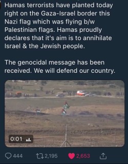 jew-bilee:  I support Palestine and it’s right to exist. I don’t support the Israeli government’s/IDF’s actions against Palestinians, but this Nazi shit HAS TO STOP. This isn’t the first time that it has happened and it probably won’t be the