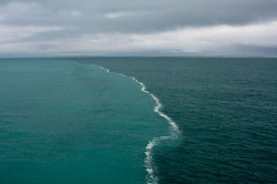 mindbodysea:  fuckyeahfluiddynamics:  Reader favoringfire asks:  Hi! Maybe you can help me: I’ve seen a pic revolving around Tumblr from the Danish city of Skagen showing the Baltic and North sea meeting. Where they meet the ocean is two very distinct