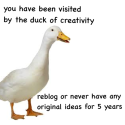 herm-ondead:  laderdesders1:  fitmaree: Can’t risk it  The duck of creativity. I waited so long for it.   I depend on that shit  Dammit, it&rsquo;s like chain letters all over again