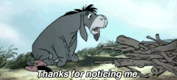 planningbabycastevens:  five-boys-with-accents:  Eeyore is just one of those characters that you wanna scoop up and hug forever.   He’s my favorite disney character because he’s just too relatable