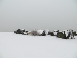 hard-walk:   The UK has been hit by snow this weekend, and the internet has bee awash with pics of snowmen and wintery scenes, Here is my contribution near the beach, in the form of snow covered boulders, down by the harbour wall in Eastbourne.   The