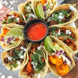 monchichitamberine:  Taco Tuesday! 