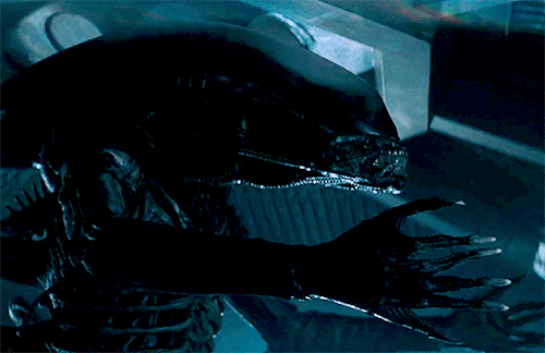 talesfromthecrypts:Top 25 Horror Films as Voted by My Followers6. Alien (1979) dir. Ridley Scott  I admire its purity. A survivor… unclouded by conscience, remorse, or delusions of morality.   