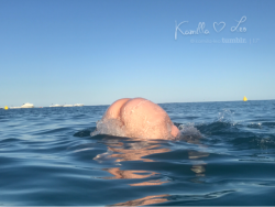 kamilla-leo:  kamilla-mia: Love to swim 🐬 It’s Humpday! ( v )